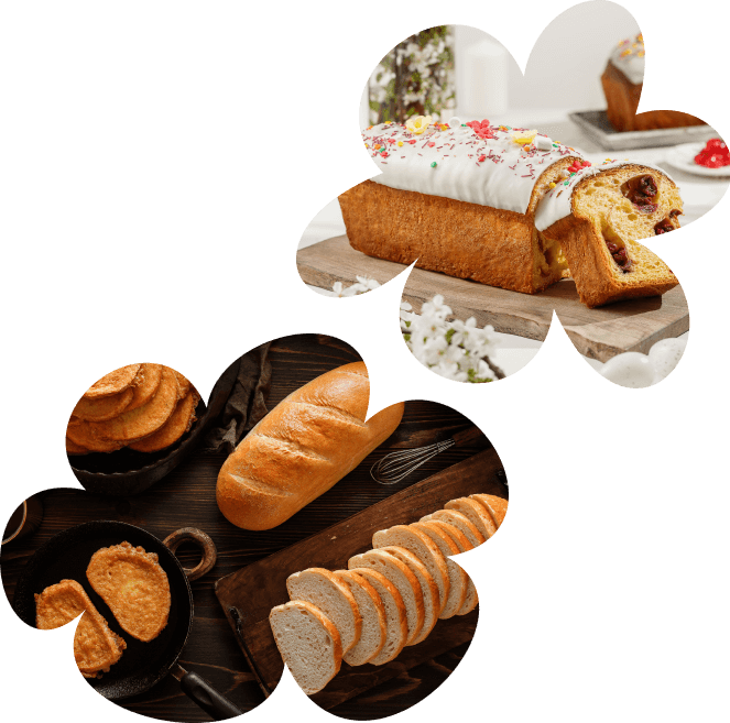 Angajamentul nostru eco-friendly și pentru sustenabilitate