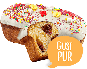 Cozonac De la Brodețchi cu Vișine